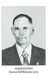 Набиуллин Хамза Хоббихузиевич